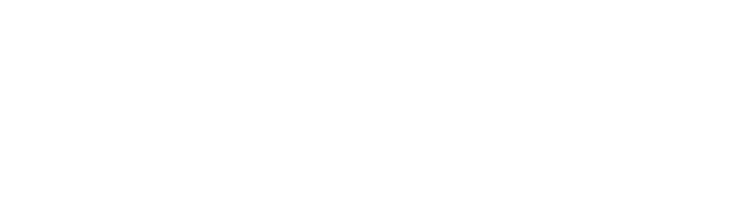 logo-website